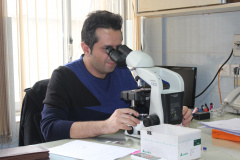 پلی کلینیک فوق تخصصی بیماری های پستان پژوهشکده معتمد جهاد دانشگاهی