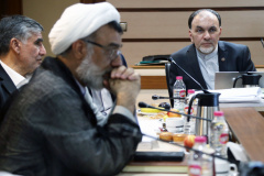 ارائه پیش نویس سند ملی درمانهای نوین، فرآورده ها و فناوری های پیشرفته پزشکی