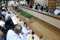 ارائه پیش نویس سند ملی درمانهای نوین، فرآورده ها و فناوری های پیشرفته پزشکی