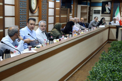 ارائه پیش نویس سند ملی درمانهای نوین، فرآورده ها و فناوری های پیشرفته پزشکی