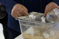 نمایشگاه گزیده‌ای از دستاوردهای شاخص علمی و فناورانه جهاددانشگاهی در سازمان برنامه و بودجه کشور (روز سوم)