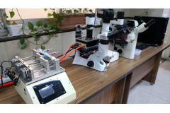 بازدید خانم دکتر زهرا سادات مشیر عضو ستاد ملی زن و خانواده از کلینیک فوق‌تخصصی پژوهشگاه ملی سرطان